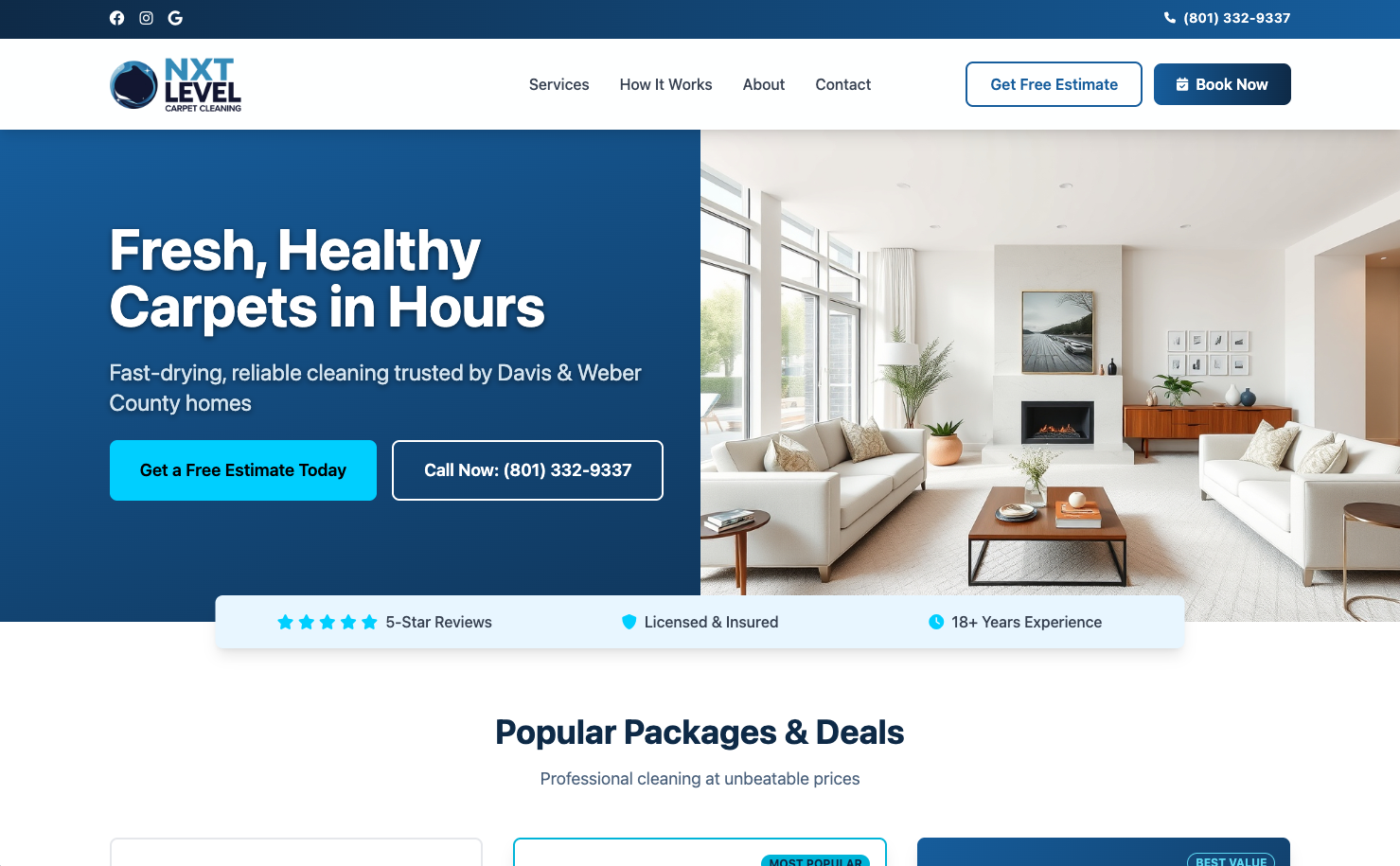 NXT Level Carpet Cleaning — finished site