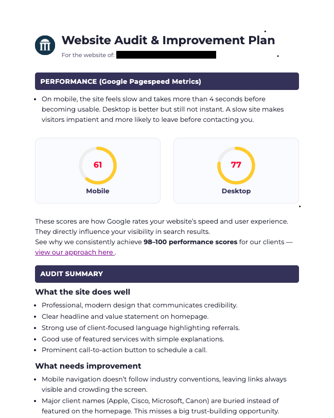 Website audit screenshot